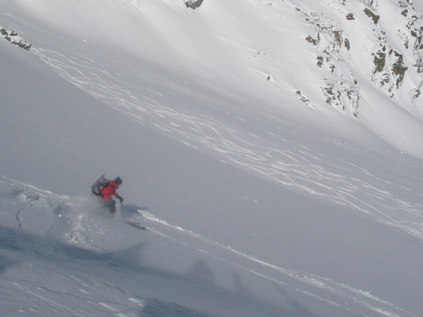 Fresh tracks from Tete du Tronc