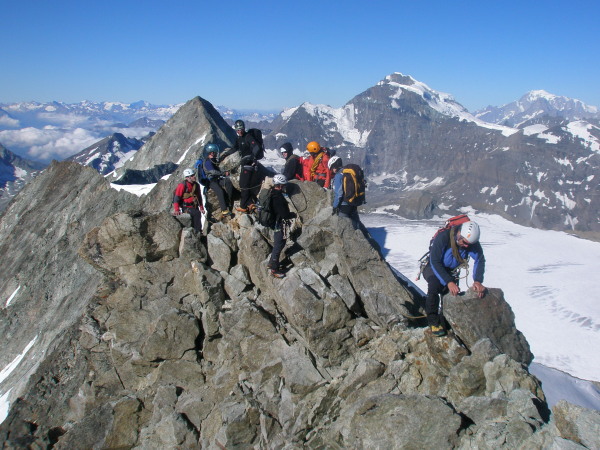 the army reach the top