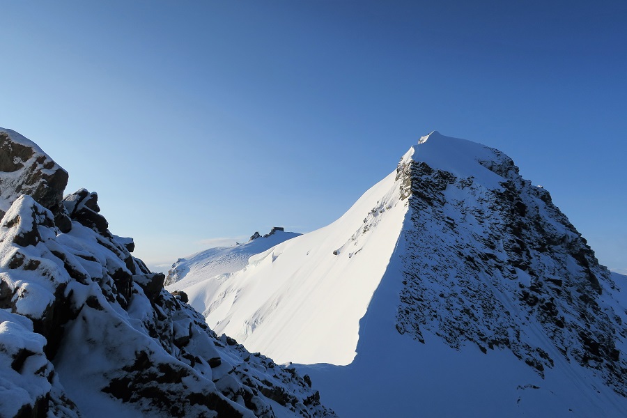 View back to Zumsteinspitze and Margherita hut.