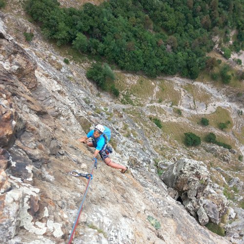 Top pitch of Tichodrome